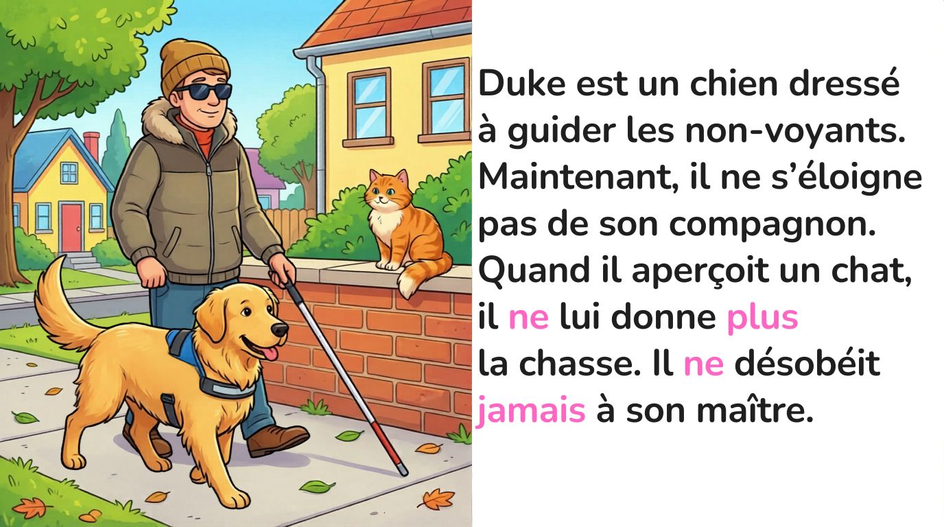 Duke est un chien dressé à guider les non-voyants.